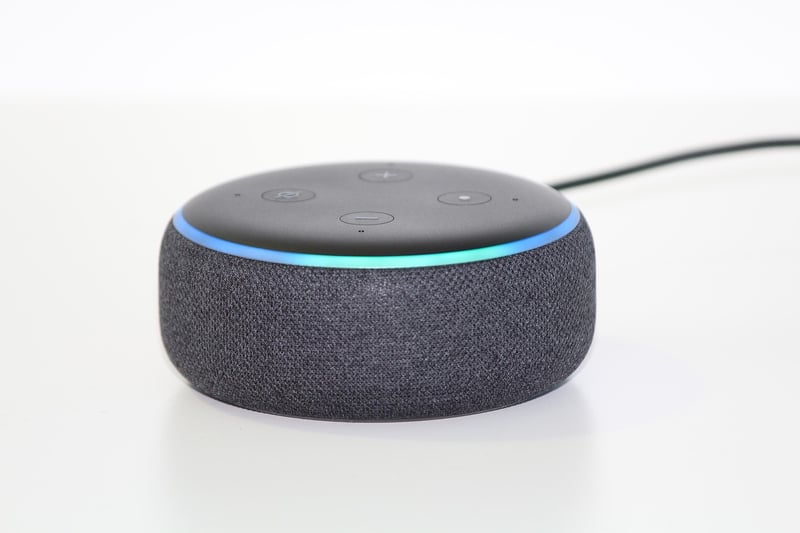 Voice-Controlled Assistant